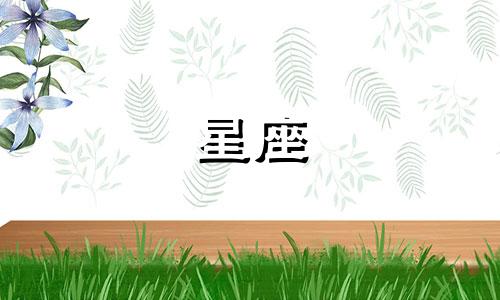 王者荣耀全星座皮肤多少钱