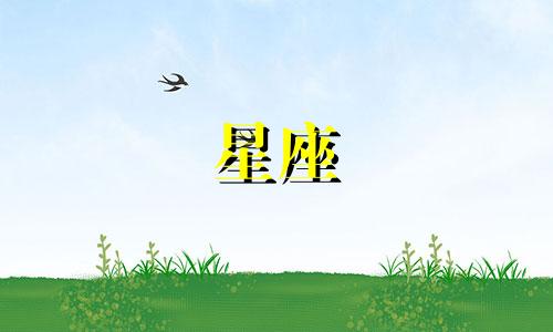 男生12星座的颜值是多少