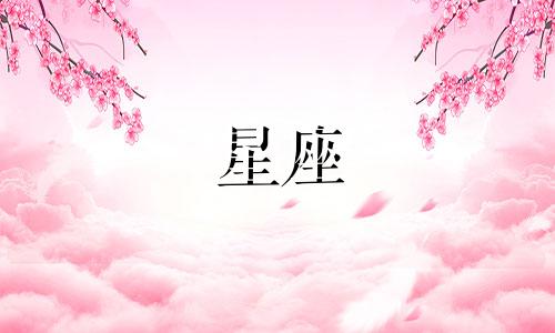 盘点12星座的蛋糕多少钱