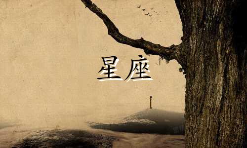 12星座专属纸戒指多少钱