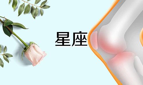 12星座大人的水杯多少钱