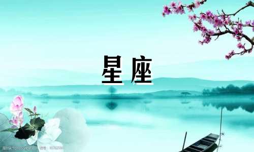 十二星座专属黄金鞋多少钱