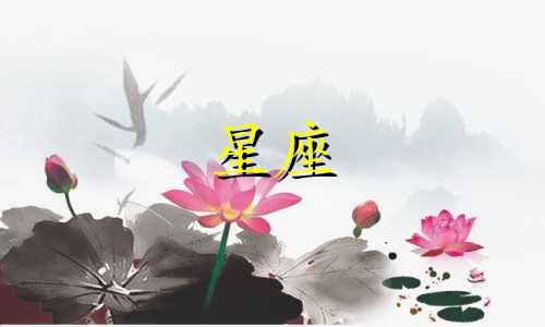 十二星座眞值多少钱照片