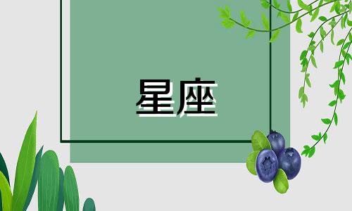 有多少星座是金牛座的人