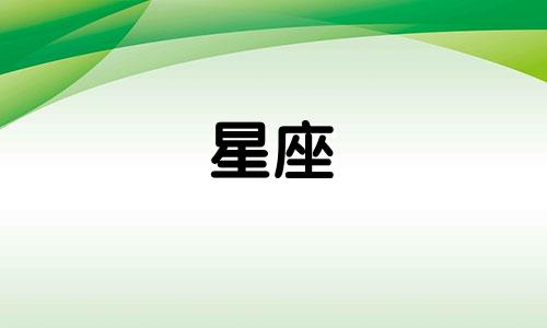 十二星座的闪婚率是多少