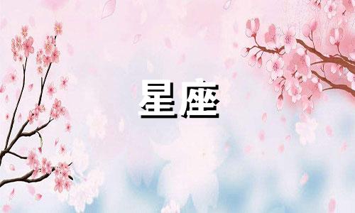 12星座以前的头发多少钱