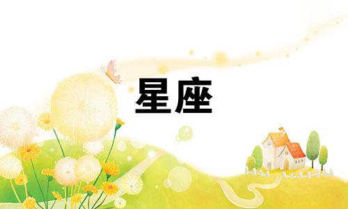 所有12星座的手链多少钱