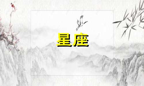 陌陌星座礼物特效多少钱