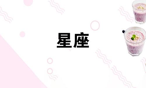 12星座的篮球套装多少钱