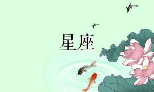 12星座的王者战歌多少钱