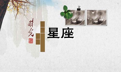 小度星座一共有多少集