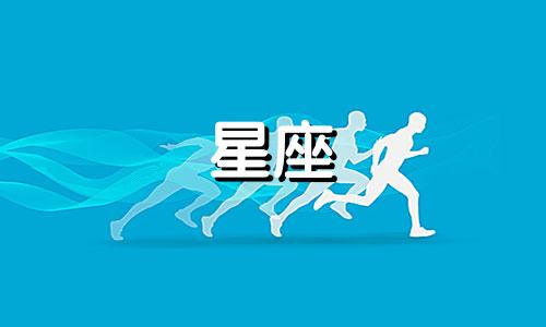 12星座的透明袜子多少钱