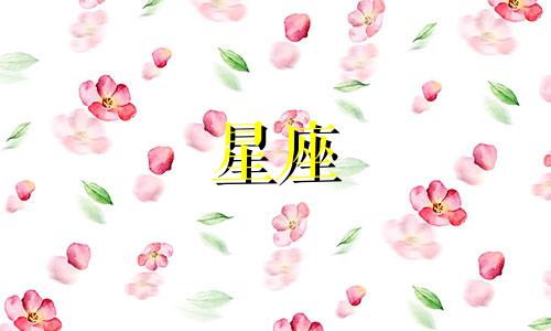 12星座的小狗小猫多少钱