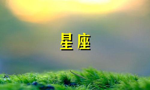 十二星座有多少个老公呢