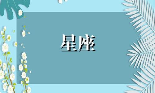 星座大师的颜值打多少分