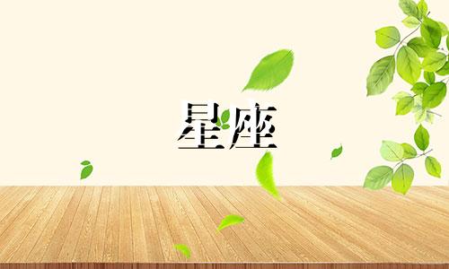 12星座专属小手链多少钱