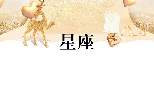多少个星座适合养猫咪