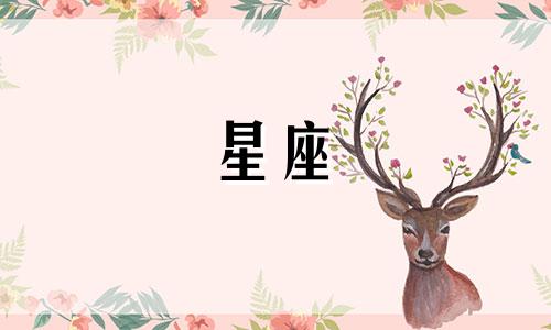 十二星座吃多少泡面会中毒