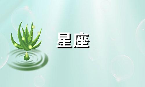 12星座制造的娃娃多少钱