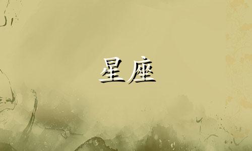 十二星座的夜光鞋子多少钱