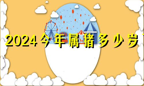 2024今年属猪多少岁了 2024年属猪的是什么命