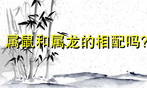 属鼠和属龙的相配吗? 属鼠女和属龙男的相配吗