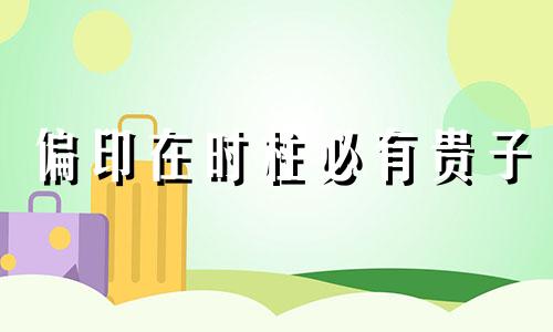 偏印在时柱必有贵子 偏印在时柱的人很少