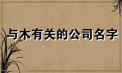 与木有关的公司名字 跟木相关的企业名称