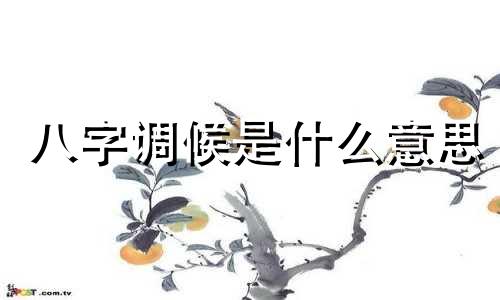 八字调候是什么意思 八字论调侯