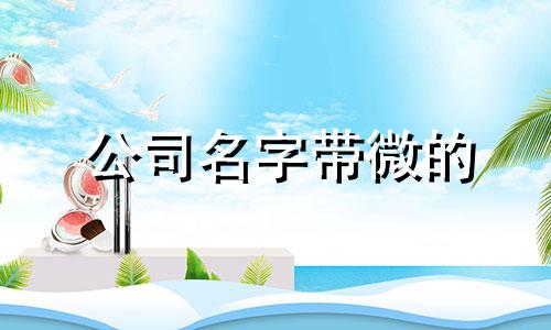 公司名字带微的 公司名微信名