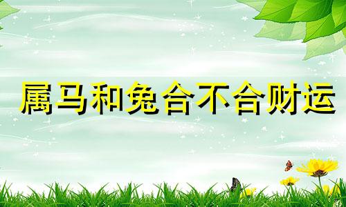 属马和兔合不合财运 属马和属兔合不合财运