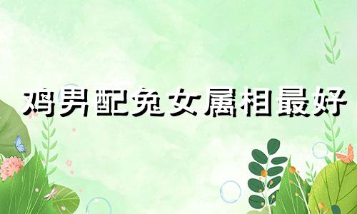 鸡男配兔女属相最好 属鸡男属兔女婚姻状况好吗