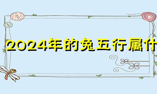 2024年的兔五行属什么 2024年属兔的命运怎么样