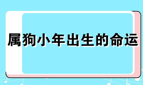 属狗小年出生的命运 狗年出生的狗狗好吗