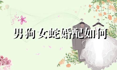 男狗女蛇婚配如何 男狗女蛇婚姻幸福吗