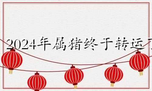 2024年属猪终于转运了 2024年属牛终于转运了