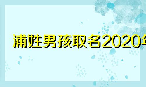 浦姓男孩取名2020年 浦氏男孩取名大全
