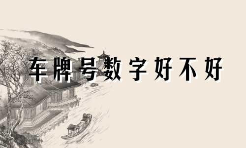 车牌号数字好不好 公式 车牌 数字1