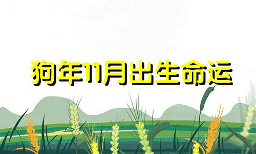 狗年11月出生命运 狗年十一月出生的人