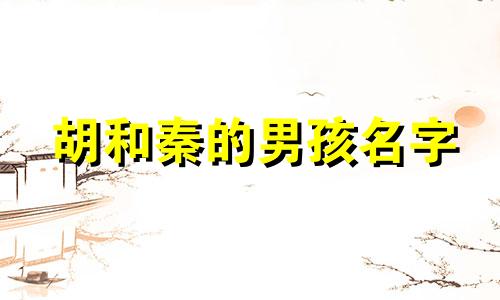 胡和秦的男孩名字 胡姓双胞胎宝宝名字大全