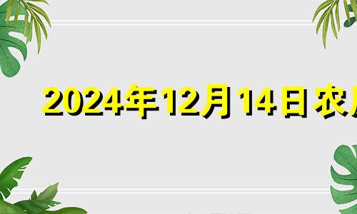 2024年12月14日农历 2020年农历十二月十四日黄历