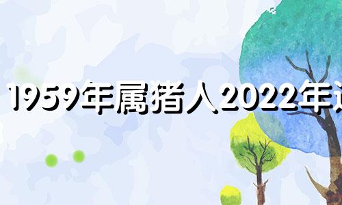 1959年属猪人2022年运势 1959年属猪2021年运势及运程每月运程