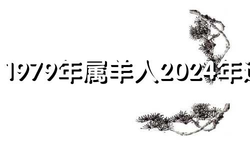 1979年属羊人2024年运程 79年羊2024年运势完整版