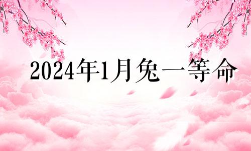 2024年1月兔一等命 2024年1月出生的宝宝属兔还是龙