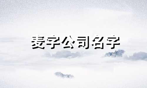 麦字公司名字 带麦字的公司名称
