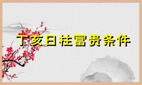 丁亥日柱富贵条件 丁亥日柱的对象是什么样的
