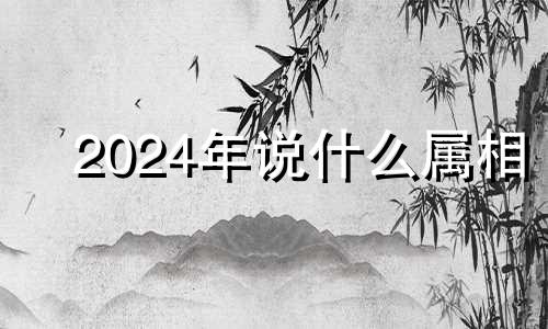 2024年说什么属相 2024年有什么
