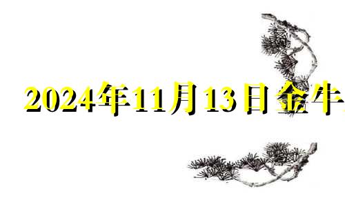 2024年11月13日金牛座 2024星座金牛座11月