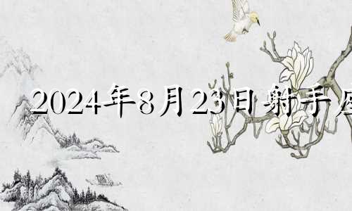 2024年8月23日射手座 2024年射手座八月第三段感情结果