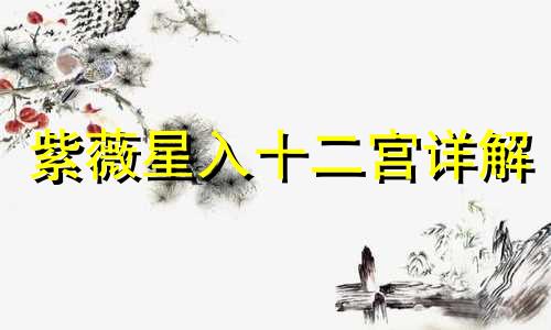 紫薇星入十二宫详解 紫微在十二宫男女命详述